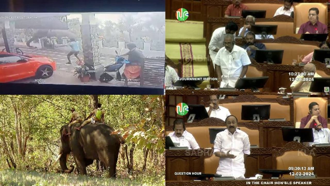 ബോധമില്ലാത്ത ആനയല്ല, കഴിവുകെട്ട സർക്കാരാണ് അജീഷിന്റെ മരണത്തിൽ ഒന്നാം പ്രതി, നിയമസഭയില് പ്രതിപക്ഷ വാക്കൗട്ട് ബോധമില്ലാത്ത ആനയല്ല, കഴിവുകെട്ട സർക്കാരാണ് അജീഷിന്റെ മരണത്തിൽ ഒന്നാം പ്രതി, നിയമസഭയില് പ്രതിപക്ഷ വാക്കൗട്ട്