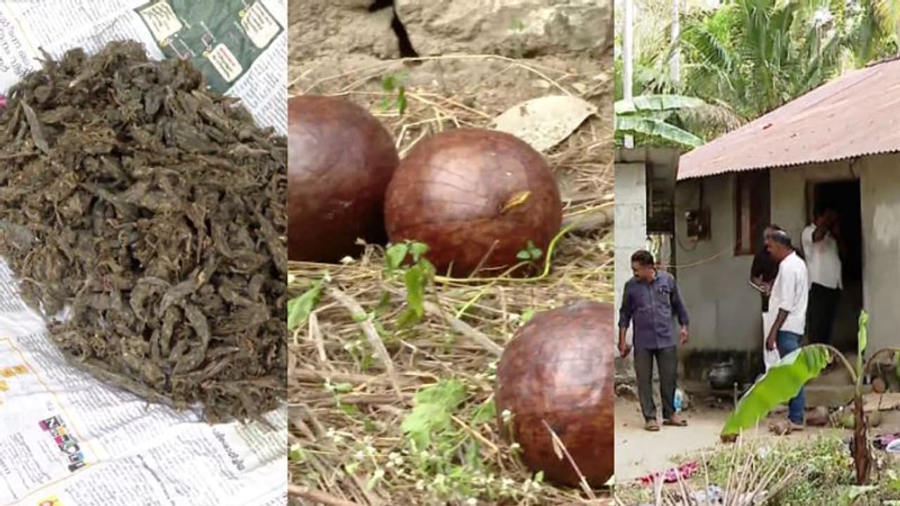 തൃപ്പൂണിത്തുറ സ്ഫോടനം; കരാറുകാരന്‍റെ ഗോഡൗണിൽ കഞ്ചാവ്, വൻ തോതിൽ സ്ഫോടക വസ്തുക്കളും കണ്ടെത്തി, പരിശോധന