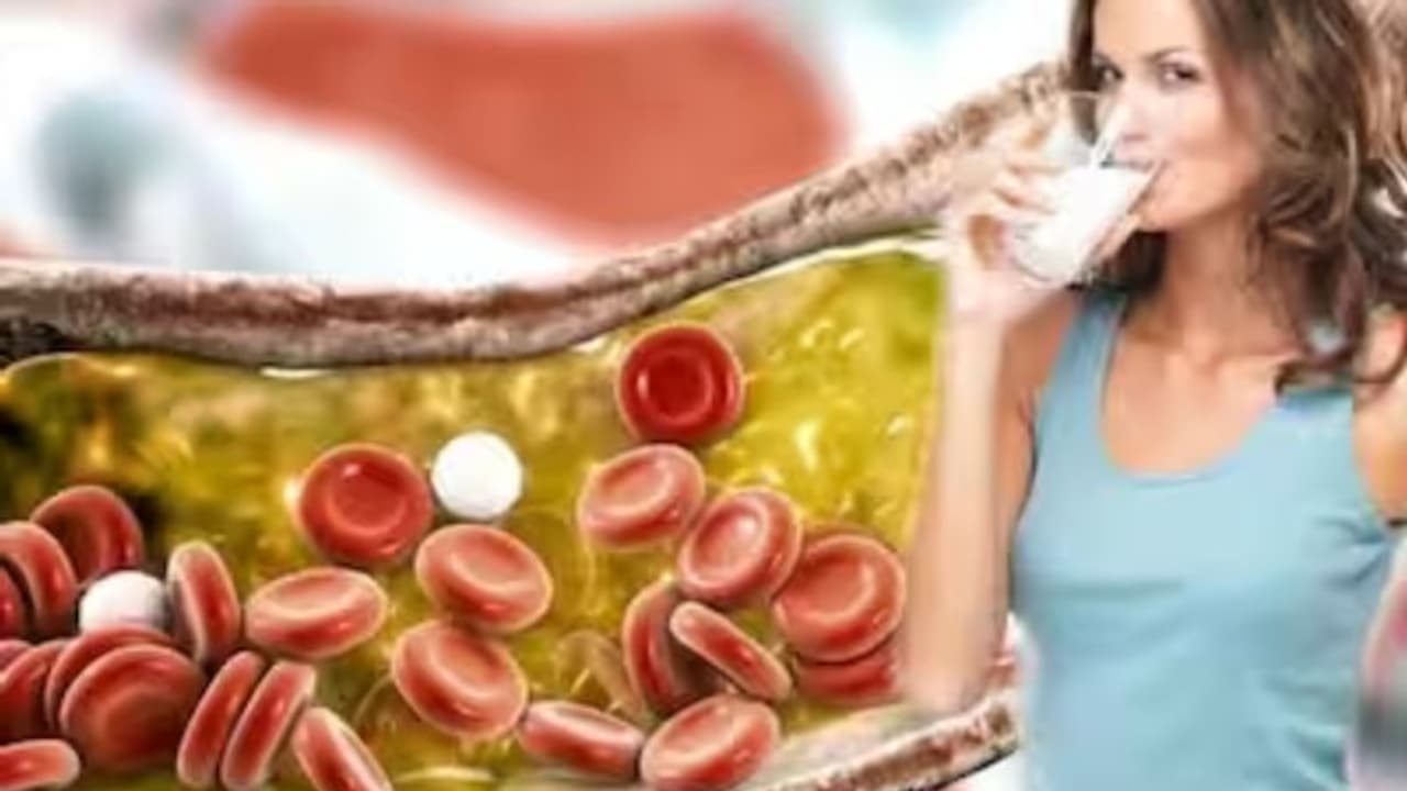 കൊളസ്ട്രോള് കുറയ്ക്കാന് ഡയറ്റില് ഉള്പ്പെടുത്താം ഈ മൂന്ന് തരം പാലുകള്... കൊളസ്ട്രോള് കുറയ്ക്കാന് ഡയറ്റില് ഉള്പ്പെടുത്താം ഈ മൂന്ന് തരം പാലുകള്...