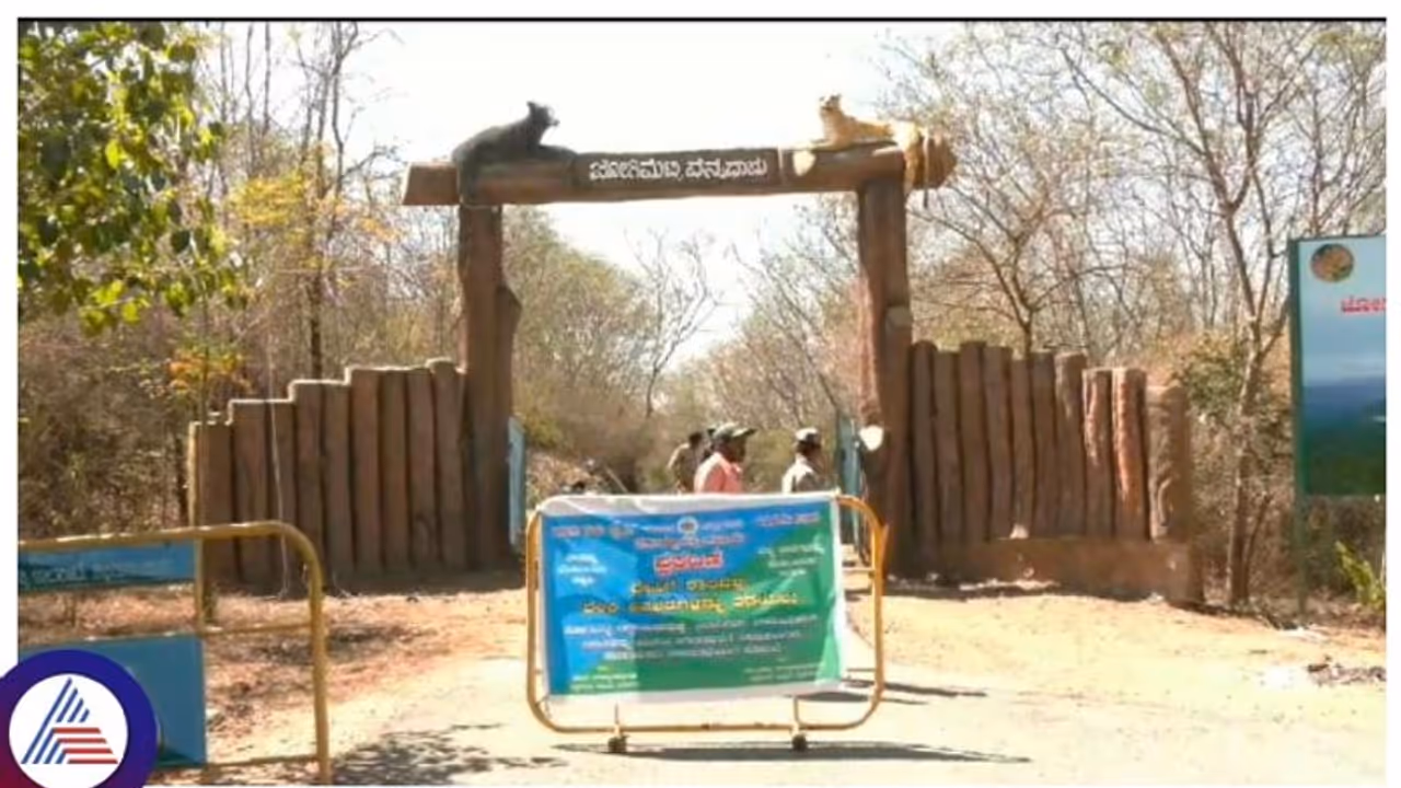 ಏಷ್ಯಾದಲ್ಲೇ‌ ಅತಿ ಹೆಚ್ಚು ಗಾಳಿ‌ ಬೀಸುವ, ರಾಜ್ಯದ ಪ್ರಸಿದ್ಧ ತಾಣ ಜೋಗಿಮಟ್ಟಿಗೆ ಪ್ರವಾಸಿಗರ ನಿರ್ಬಂಧ