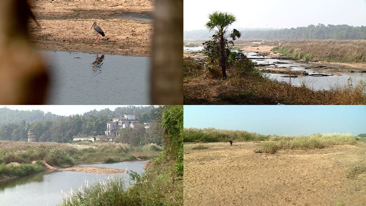 കൊടുംവേനലെത്തും മുമ്പേ ഭാരതപ്പുഴ വറ്റിത്തുടങ്ങി,പരന്നൊഴുകിയ നിള നീര്ച്ചാലായി,കുടിവെള്ളക്ഷാമം രൂക്ഷമായേക്കും കൊടുംവേനലെത്തും മുമ്പേ ഭാരതപ്പുഴ വറ്റിത്തുടങ്ങി,പരന്നൊഴുകിയ നിള നീര്ച്ചാലായി,കുടിവെള്ളക്ഷാമം രൂക്ഷമായേക്കും