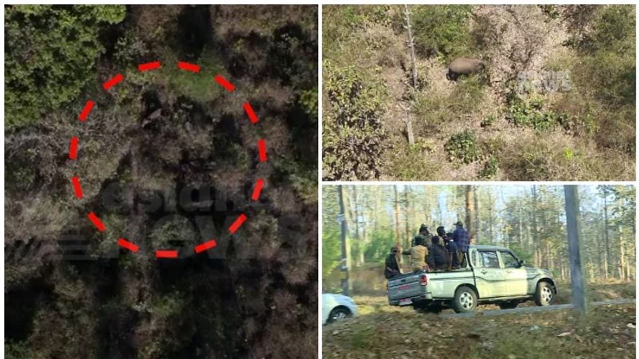 ബേലൂർ മഖ്നയുടെ സഞ്ചാരം മറ്റൊരു മോഴയ്ക്കൊപ്പം; ദൗത്യം നാലാം ദിവസത്തിൽ, പ്രതിസന്ധികള്‍ ഏറെ