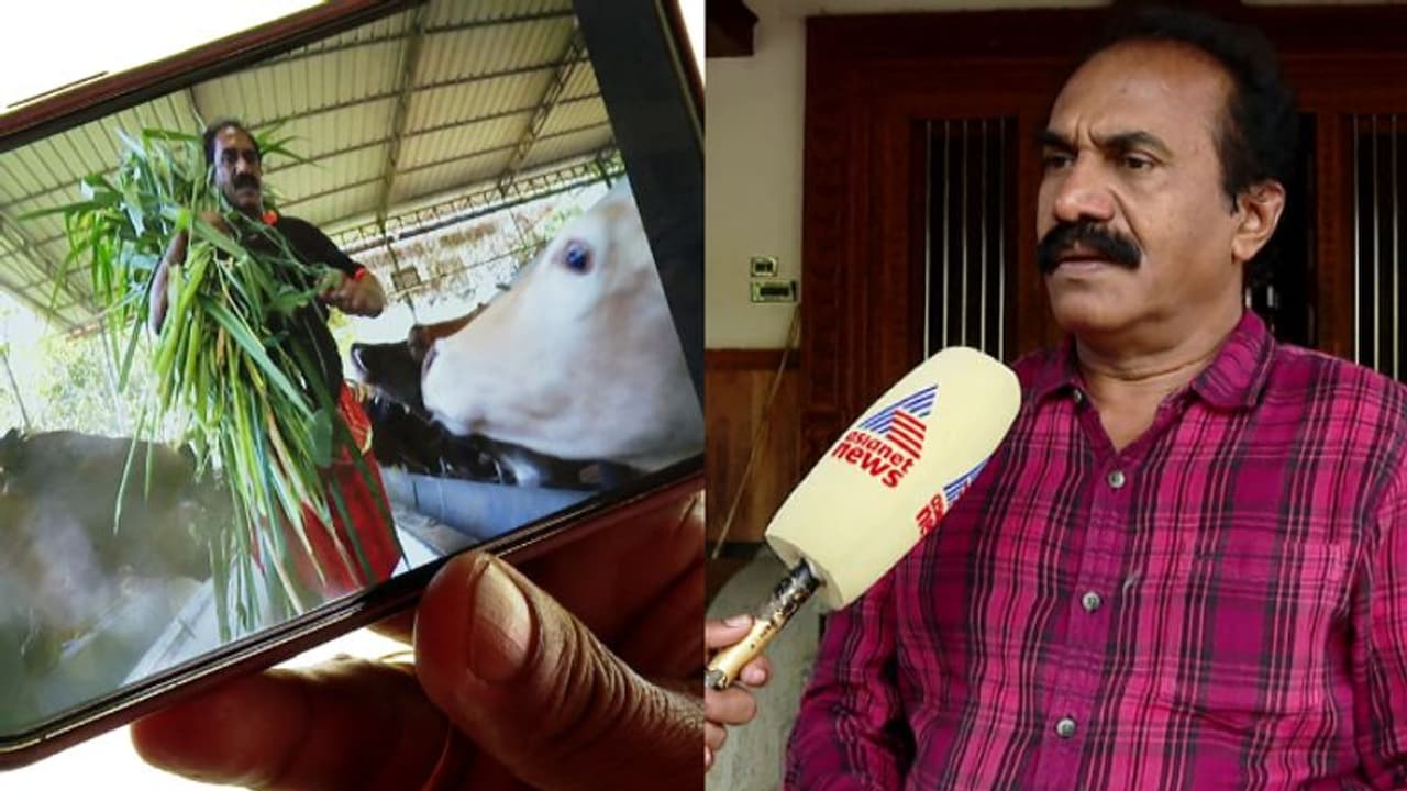 കോൺഗ്രസിന്റെ സമരാഗ്നി പ്രചരണ വീഡിയോക്ക് ബിജെപി നേതാവിന്റെ ദൃശ്യങ്ങൾ; പരാതി കോൺഗ്രസിന്റെ സമരാഗ്നി പ്രചരണ വീഡിയോക്ക് ബിജെപി നേതാവിന്റെ ദൃശ്യങ്ങൾ; പരാതി