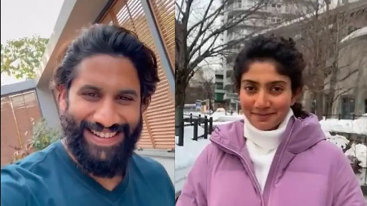  ಸಮಂತಾ ಮಾಜಿ ಪತಿಗೆ ಪ್ರೇಮಿಗಳ ದಿನಕ್ಕೆ ಶುಭ ಹಾರೈಸಿದ ಸಾಯಿ ಪಲ್ಲವಿ... !