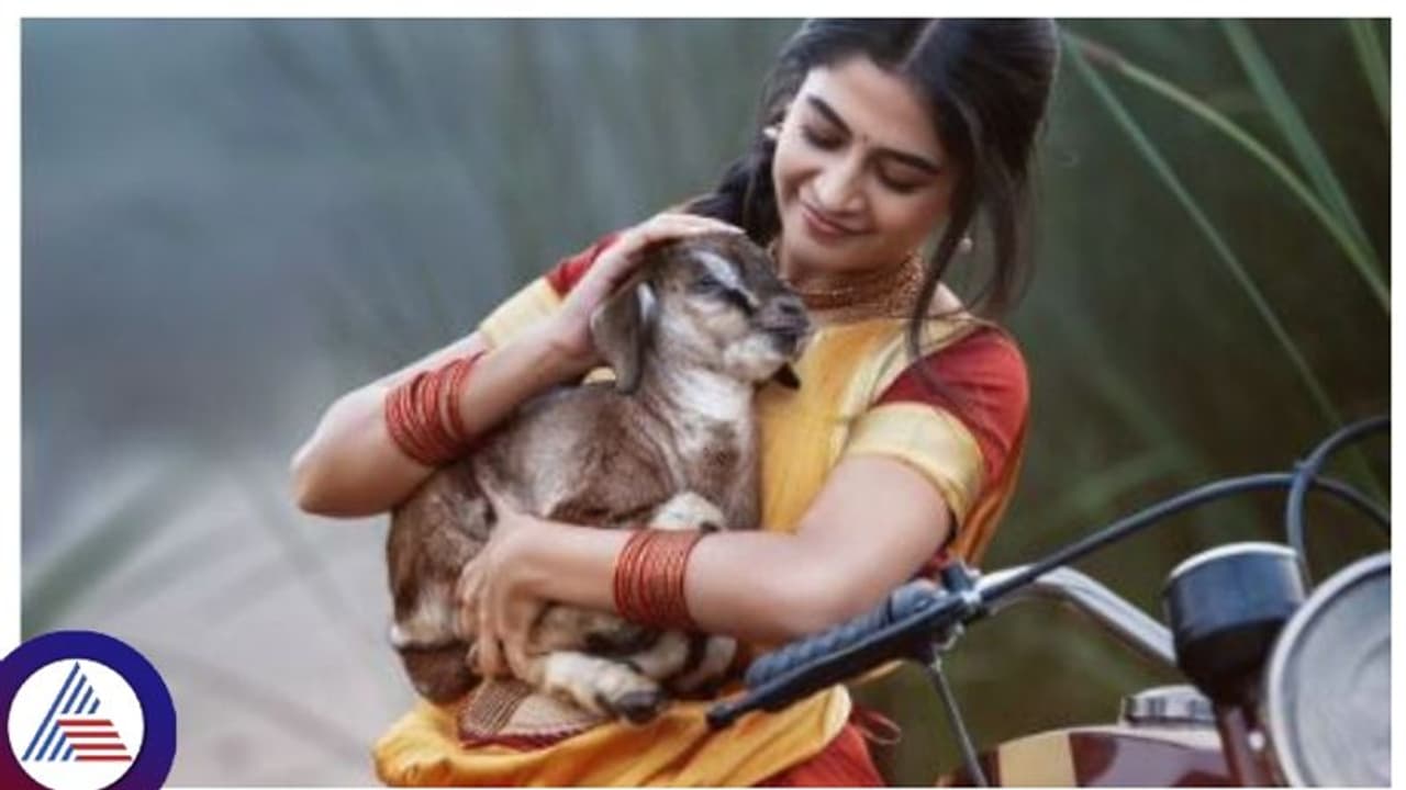 ಗುರು ಪ್ರಜ್ವಲ್ ಕಾಂಬಿನೇಷನ್‌ ಕರಾವಳಿಗೆ ಪ್ರೇಮಿಗಳ ದಿನದಂದು ಬಲಗಾಲಿಟ್ಟು ಬಂದ ಸಂಪದಾ!