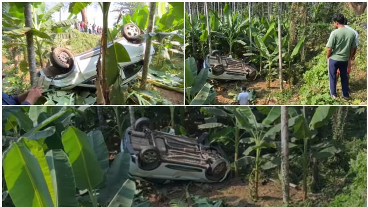 കോഴിക്കോട് വാഴത്തോട്ടത്തിലേക്ക് ഇടിച്ചുകയറി ടാറ്റ നെക്സൺ, കാർ തലകീഴായ് മറിഞ്ഞ് അപകടം