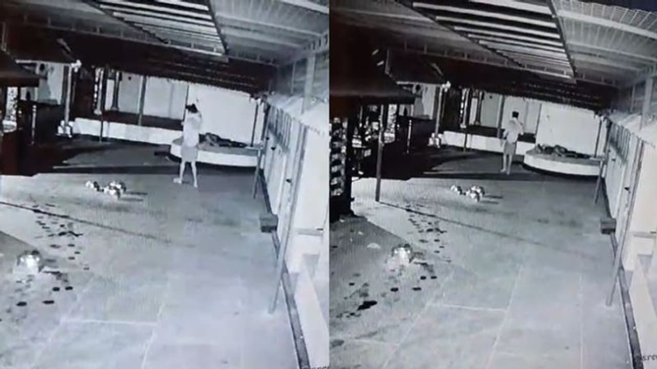 ഓടിളക്കാൻ കമ്പി ചൂൽ, കൊടുവാളുകൊണ്ട് തകർത്തത് 3 കാണിക്ക വഞ്ചി, തൃപ്പൂരട്ടക്കാവ് ക്ഷേത്രത്തിൽ വീണ്ടും കവർച്ച