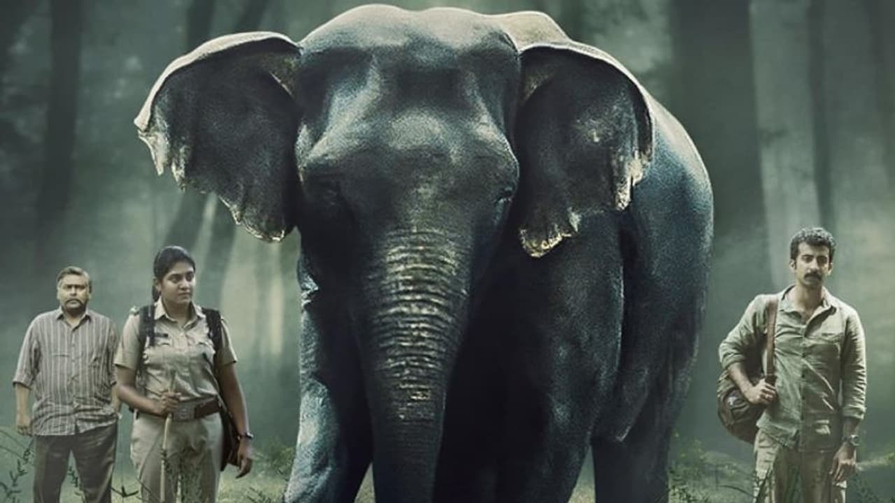 ആനക്കൊമ്പ് വേട്ടയുടെ യഥാര്ഥ കഥ; റോഷനും നിമിഷയും എത്തുന്ന സിരീസ് 'പോച്ചര്' ട്രെയ്ലര് ആനക്കൊമ്പ് വേട്ടയുടെ യഥാര്ഥ കഥ; റോഷനും നിമിഷയും എത്തുന്ന സിരീസ് 'പോച്ചര്' ട്രെയ്ലര്