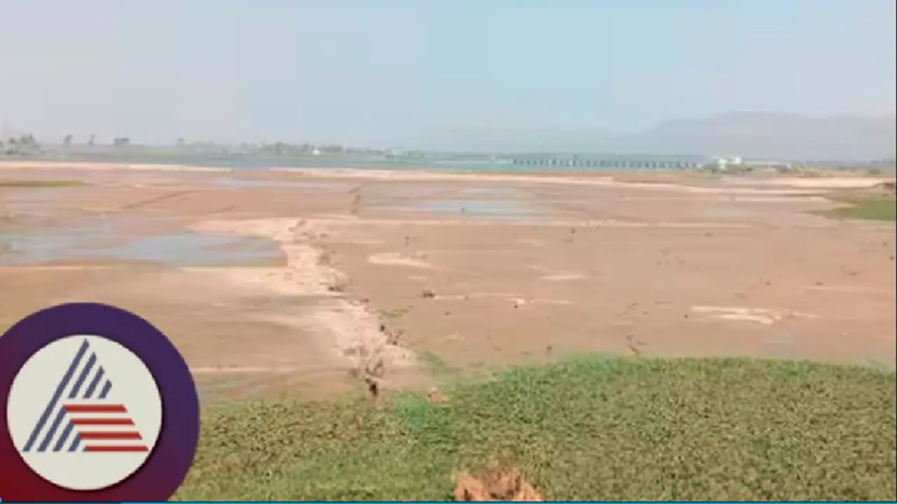 ವಿಜಯಪುರ: ಬೇಸಗೆ ಮುನ್ನವೇ ಬರಿದಾಯ್ತು ತುಂಗಭದ್ರೆಯ ಒಡಲು! ವಿಜಯಪುರ: ಬೇಸಗೆ ಮುನ್ನವೇ ಬರಿದಾಯ್ತು ತುಂಗಭದ್ರೆಯ ಒಡಲು!