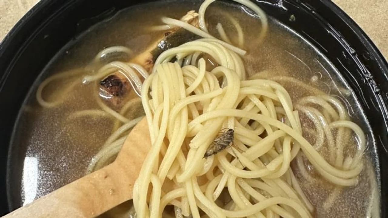 ഓര്ഡര് ചെയ്ത ഭക്ഷണത്തില് പാറ്റ; സംഗതി വിവാദമായതോടെ മാപ്പ് പറഞ്ഞ് സൊമാറ്റോ... ഓര്ഡര് ചെയ്ത ഭക്ഷണത്തില് പാറ്റ; സംഗതി വിവാദമായതോടെ മാപ്പ് പറഞ്ഞ് സൊമാറ്റോ...