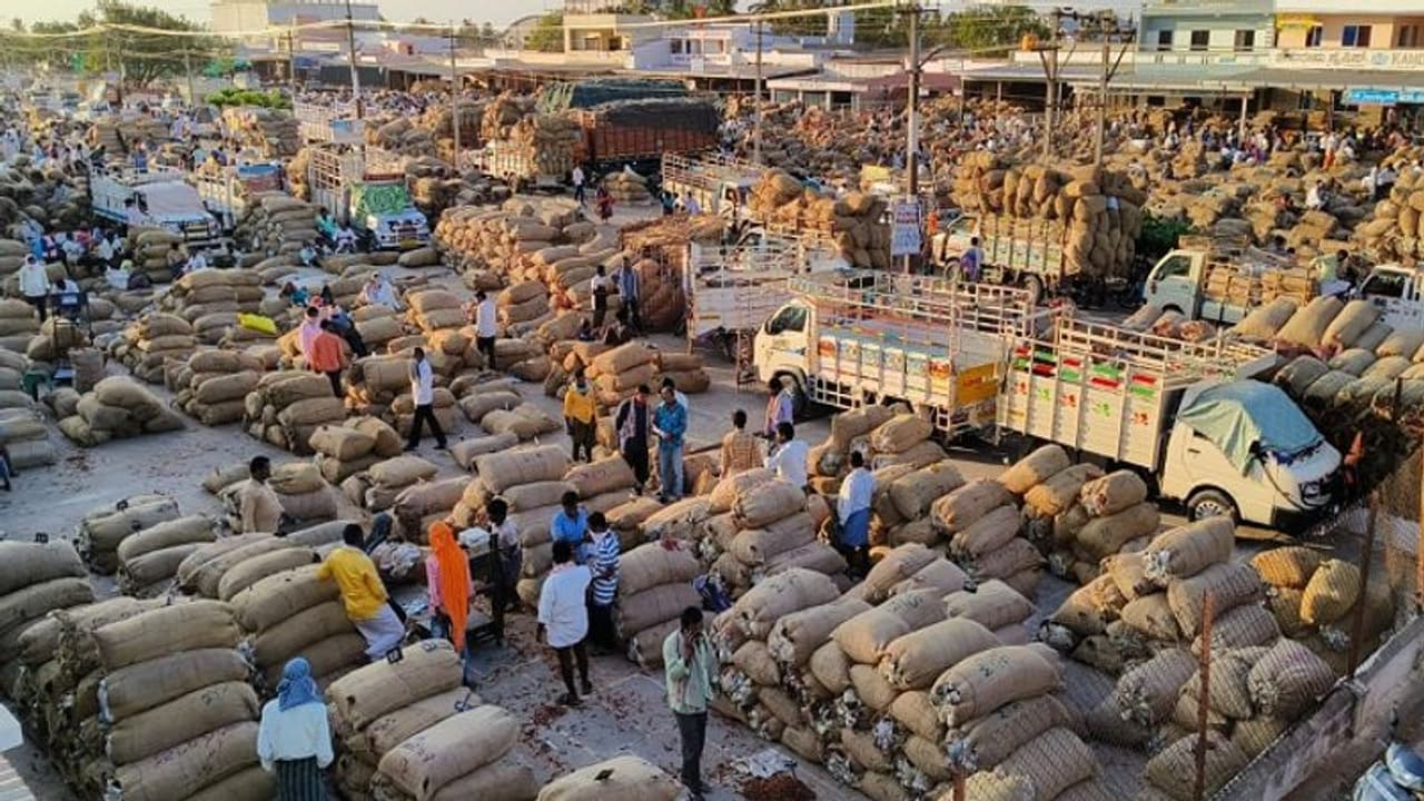 ಹಾವೇರಿ: ಬ್ಯಾಡಗಿ ಮಾರುಕಟ್ಟೆಗೆ ದಾಖಲೆ 3.34 ಲಕ್ಷ ಚೀಲ ಒಣ ಮೆಣಸಿನಕಾಯಿ..!