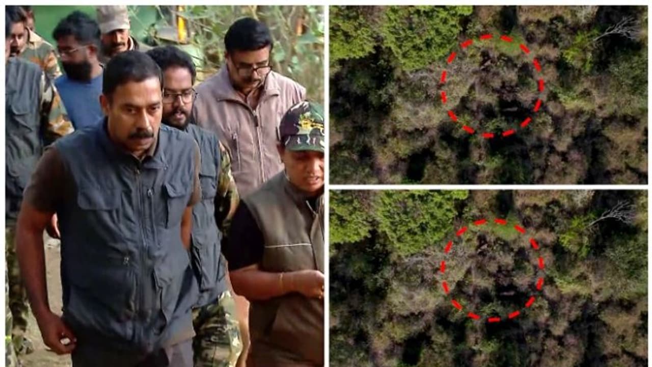 ഡോ. അരുൺ സക്കറിയ എത്തിയിട്ടും രക്ഷ, കുന്നുകളിൽ തമ്പടിച്ച് ആന; മിഷന്‍ ബേലൂര്‍ മഖ്‌ന 6 ാം ദിവസവും നിരാശയിൽ 