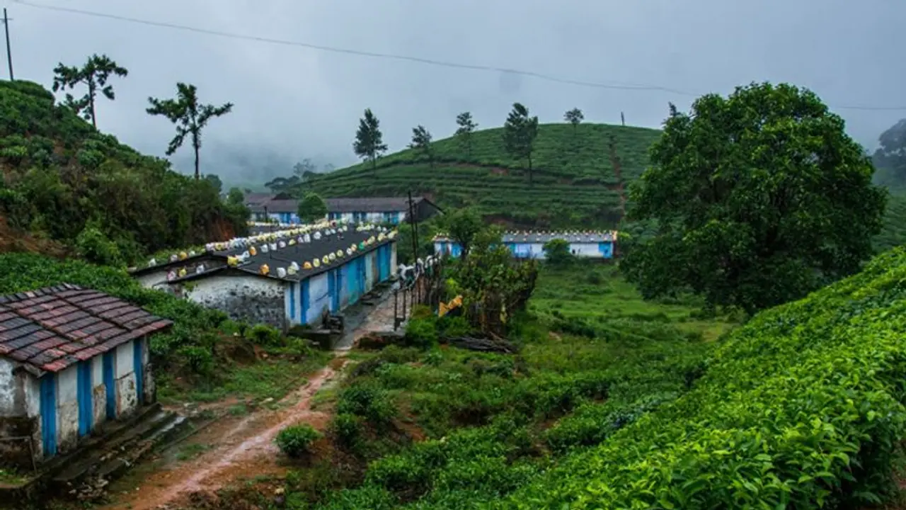 மாஞ்சோலை சூழல் சுற்றுலா போக ரெடியா? இந்த நிபந்தனைகளுடன் இன்று முதல் அனுமதி..! மாஞ்சோலை சூழல் சுற்றுலா போக ரெடியா? இந்த நிபந்தனைகளுடன் இன்று முதல் அனுமதி..!