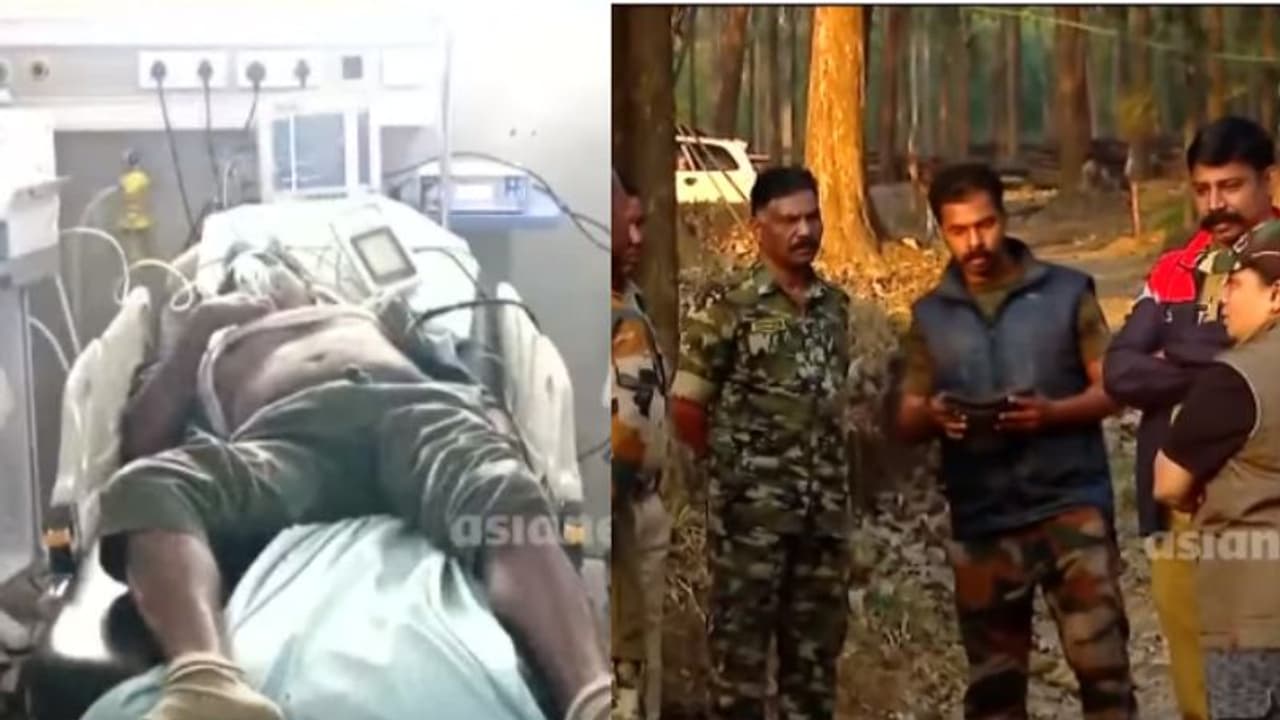 വയനാട് കുറുവയിലെ കാട്ടാന ആക്രമണം; പരിക്കേറ്റയാള്‍ മരിച്ചു