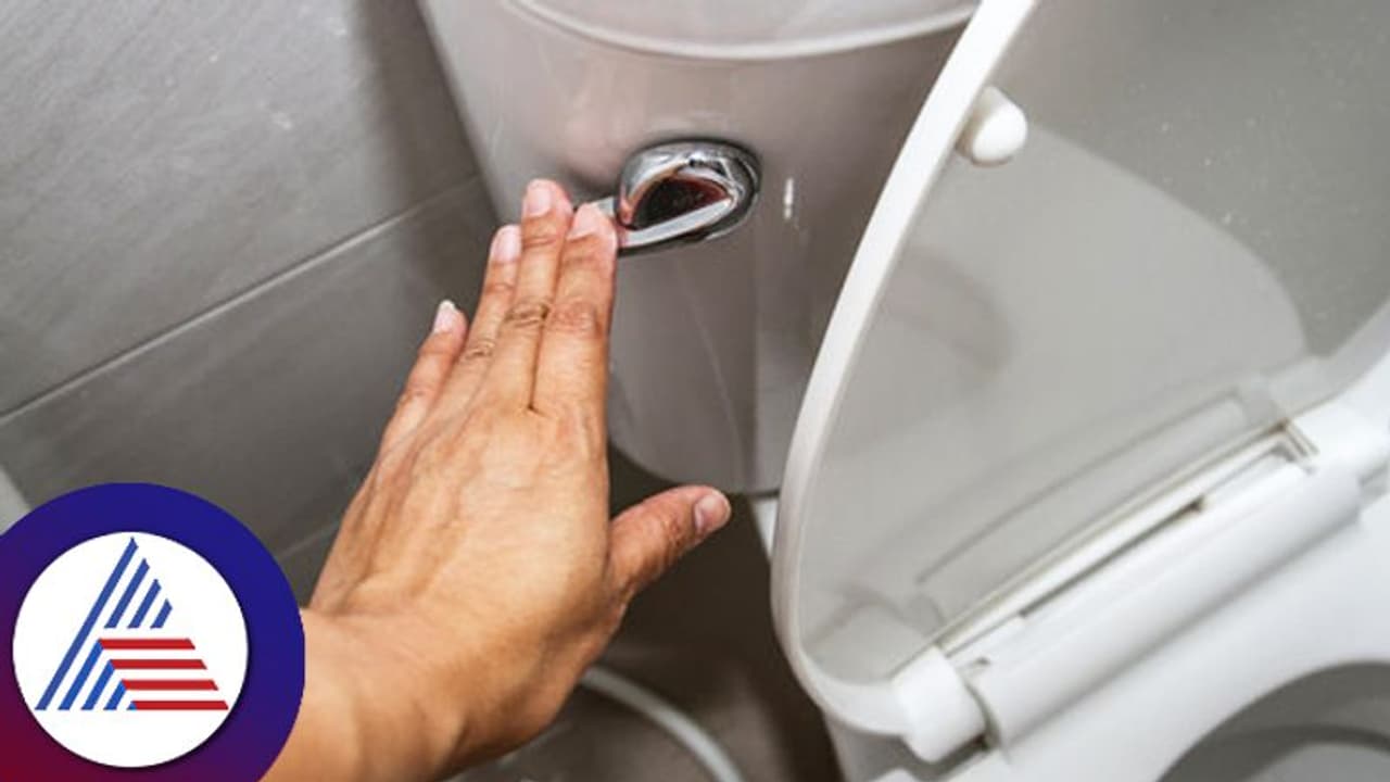 Health Tips: ಕಮೋಡ್ ಮುಚ್ಚಳ ಮುಚ್ಚದೇ ಫ್ಲಶ್ ಮಾಡ್ಬೇಡಿ