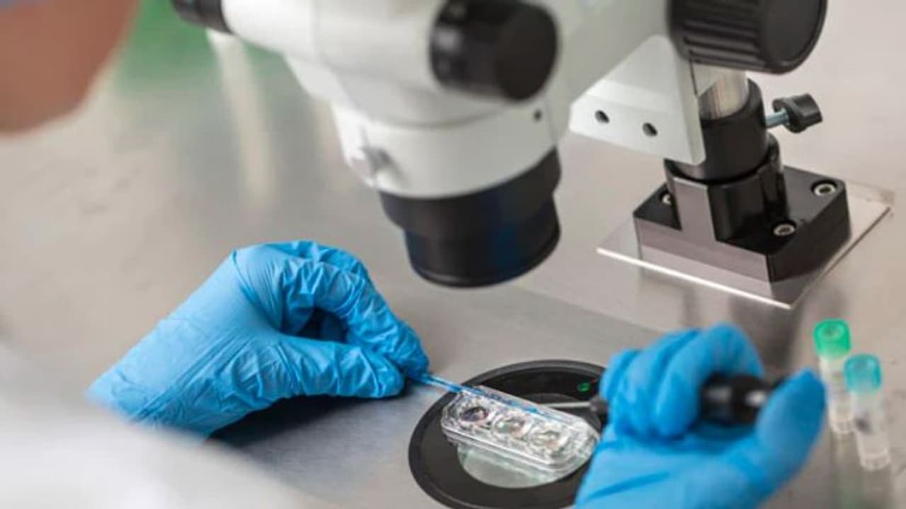 ಹೆಂಡ್ತಿ ಗರ್ಭಿಣಿಯಾಗಲು ತನ್ನ ವೀರ್ಯವನ್ನು ತಂದೆಯ ವೀರ್ಯದೊಂದಿಗೆ ಬೆರೆಸಿದ ವ್ಯಕ್ತಿ!