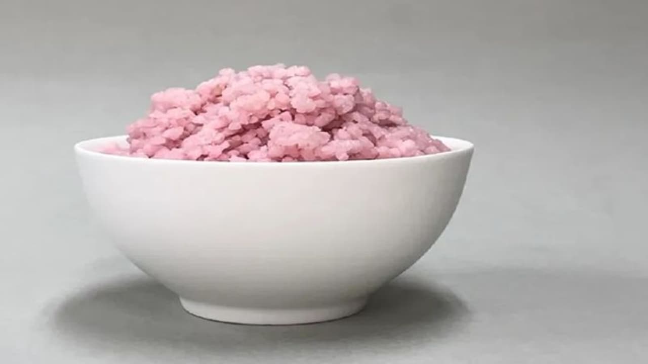 వారెవ్వా.. మాంసాహార బియ్యం రెడీ.. ఎన్ని పోషకాలో..