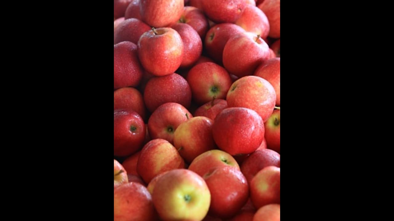 ആപ്പിൾ കഴിച്ചാൽ ഈ രോഗങ്ങളെ തടയാം ആപ്പിൾ കഴിച്ചാൽ ഈ രോഗങ്ങളെ തടയാം