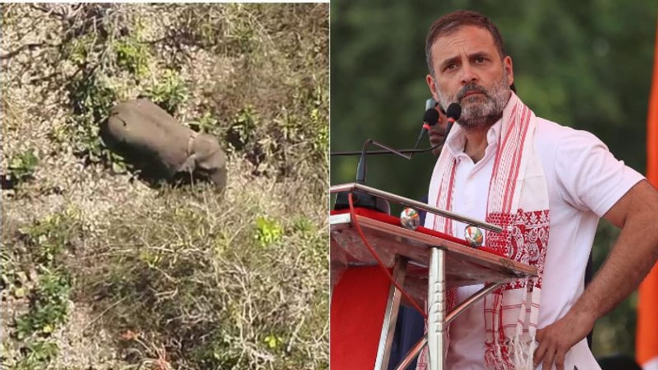 കാട്ടാന ആക്രമണം:കർണാടകയിലെ സാധാരണക്കാരുടെ നികുതിപ്പണം കേരളത്തിലെ ഒരാൾക്ക് നൽകുന്നത് അനുവദിക്കില്ലെന്ന് ബിജെപി