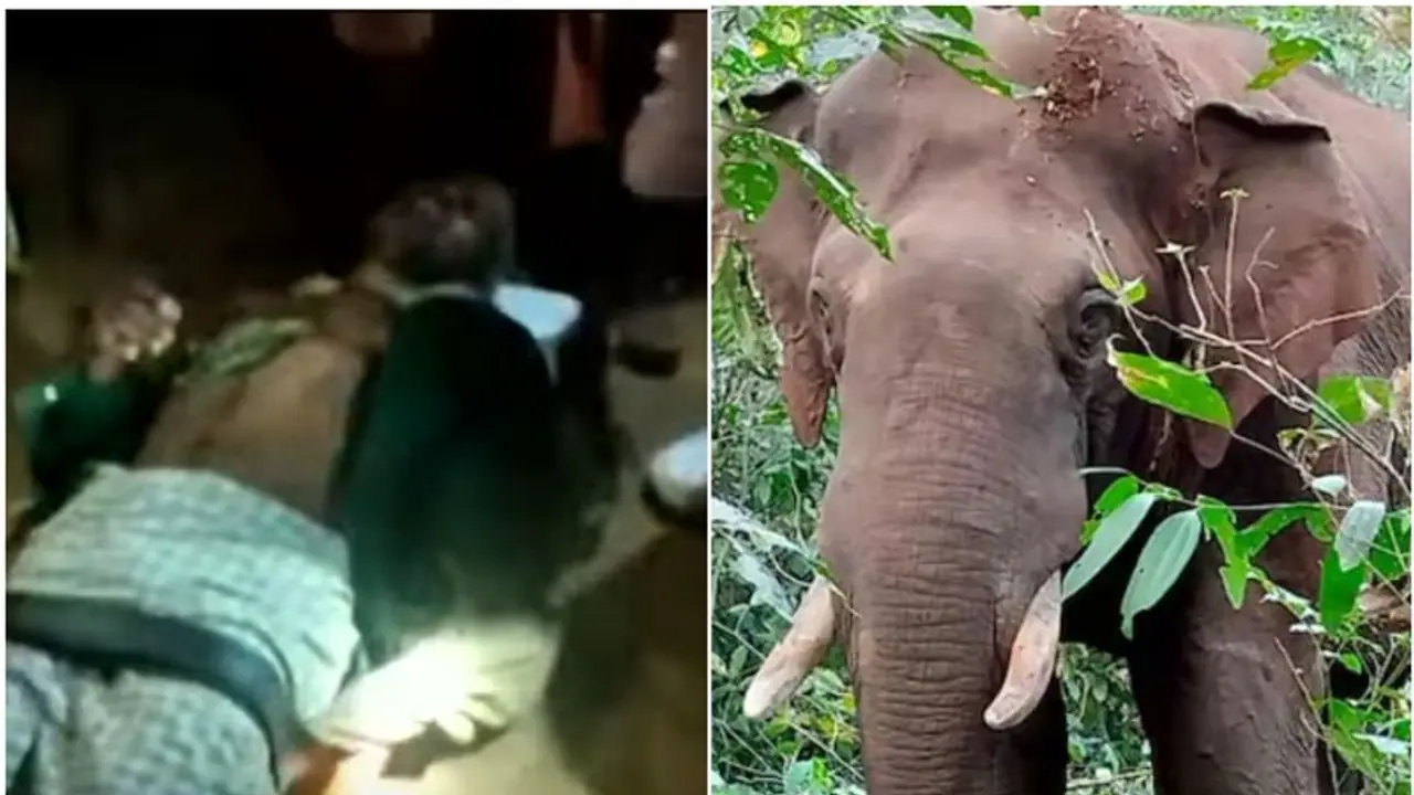 Karnataka govt under fire for providing Rs 15 lakh financial aid to Kerala based victim of elephant attack