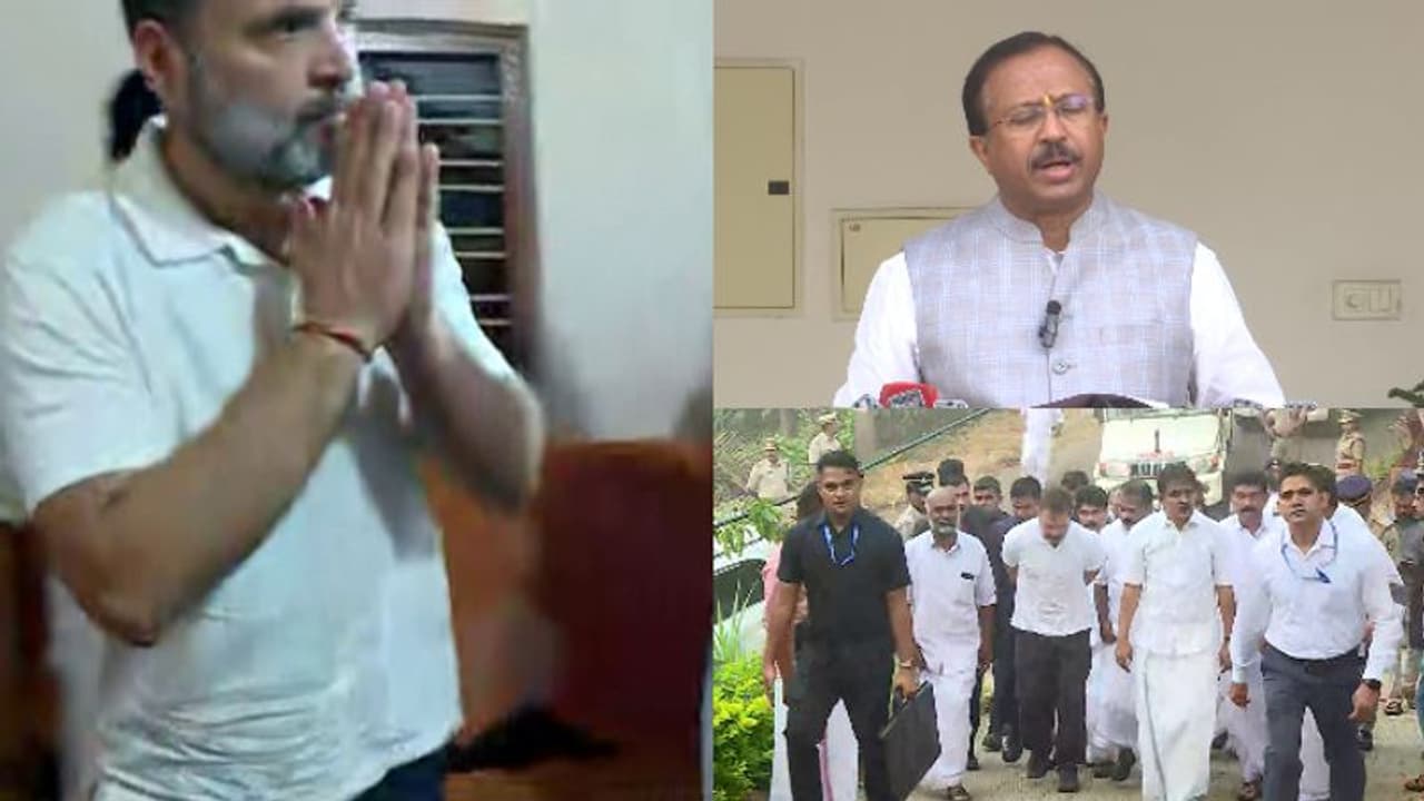 രാഹുൽ ഗാന്ധി വയനാട്ടില് 'ടൂറിസ്റ്റ് ' കാട്ടാന ആക്രമണമുണ്ടായി ഒരാഴ്ചയിലേറെ കഴിഞ്ഞാണ് എംപി മണ്ഡലത്തിലെത്തിയത് രാഹുൽ ഗാന്ധി വയനാട്ടില് 'ടൂറിസ്റ്റ് ' കാട്ടാന ആക്രമണമുണ്ടായി ഒരാഴ്ചയിലേറെ കഴിഞ്ഞാണ് എംപി മണ്ഡലത്തിലെത്തിയത്