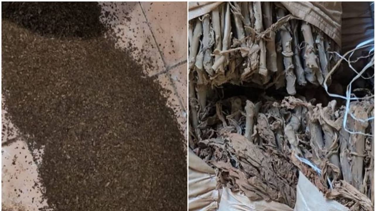 ഗോഡൗണിൽ മിന്നല് പരിശോധന; പിടികൂടിയത് 83 ടൺ പുകയില ഉൽപന്നങ്ങൾ ഗോഡൗണിൽ മിന്നല് പരിശോധന; പിടികൂടിയത് 83 ടൺ പുകയില ഉൽപന്നങ്ങൾ