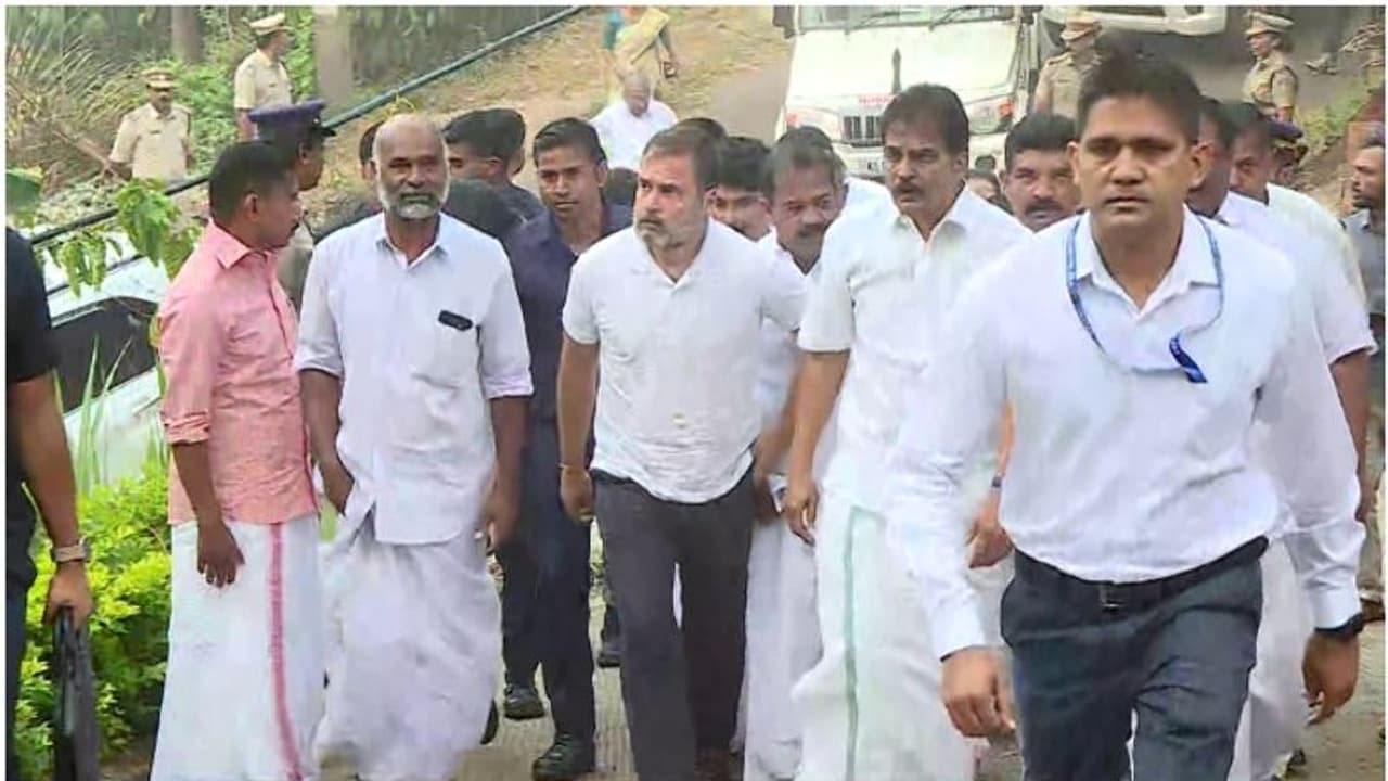 രാഹുൽ ഗാന്ധി വയനാട്ടിൽ; കാട്ടാന ആക്രമണത്തിൽ കൊല്ലപ്പെട്ടവരുടെ വീടുകളിൽ സന്ദർശനം രാഹുൽ ഗാന്ധി വയനാട്ടിൽ; കാട്ടാന ആക്രമണത്തിൽ കൊല്ലപ്പെട്ടവരുടെ വീടുകളിൽ സന്ദർശനം