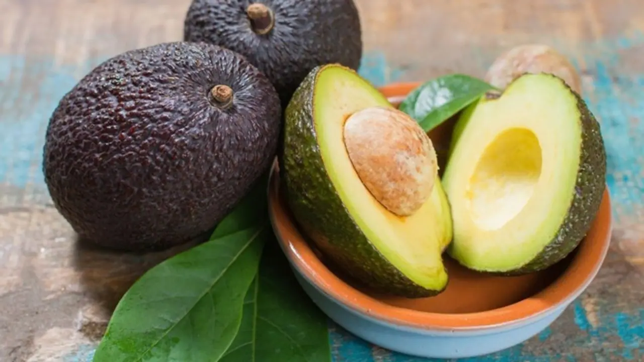 Health Tips: 7 nourishing avocado hair masks for silky, hydrated strands Health Tips: 7 nourishing avocado hair masks for silky, hydrated strands