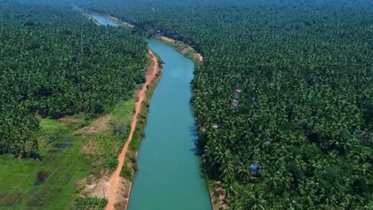 325 കോടി ! മറ്റൊരു നാഴികക്കല്ലാവാൻ കോവളം ബേക്കൽ ജലപാതാ വികസനം; പശ്ചിമതീര കനാൽ വികസനം 20ന് തുടങ്ങും 325 കോടി ! മറ്റൊരു നാഴികക്കല്ലാവാൻ കോവളം ബേക്കൽ ജലപാതാ വികസനം; പശ്ചിമതീര കനാൽ വികസനം 20ന് തുടങ്ങും