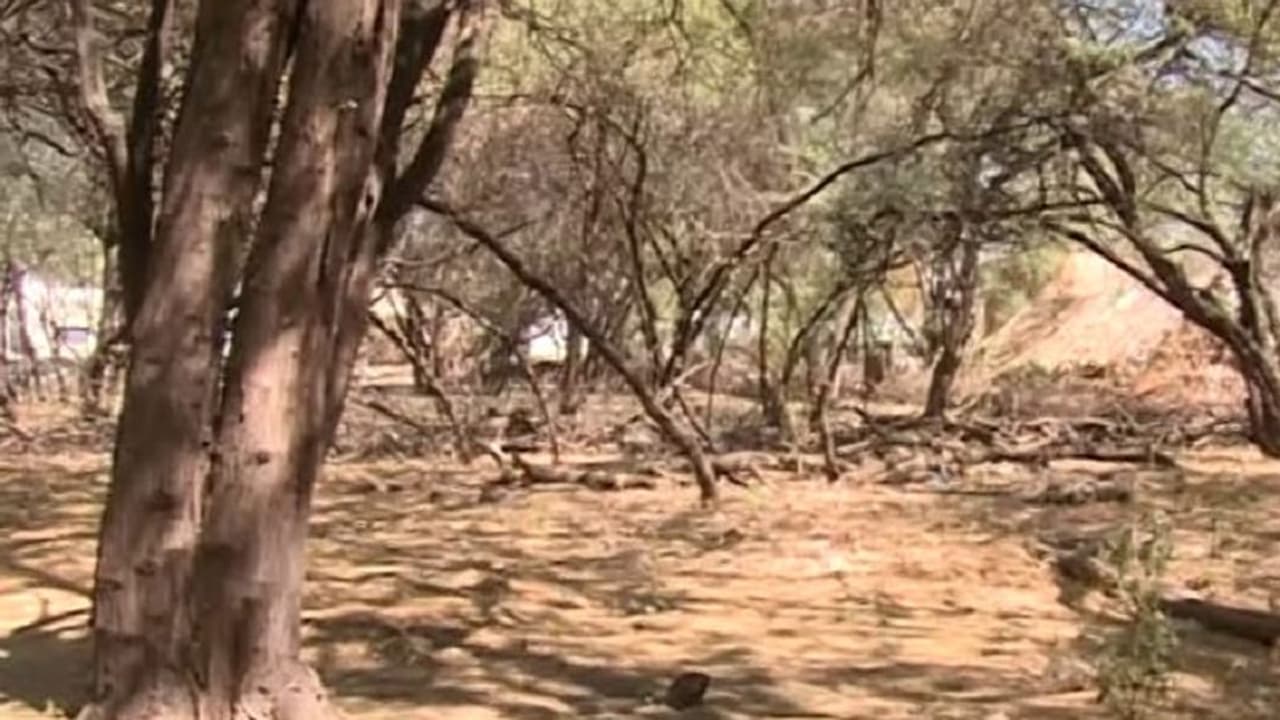 ನಕಲಿ‌ ದಾಖಲೆ ಸೃಷ್ಟಿಸಿ ಭೂಮಿ ಕಬಳಿಕೆ ಯತ್ನ: ಅಧಿಕಾರಿಗಳ ಕಣ್ಣಮುಚ್ಚಾಲೆ ಆಟಕ್ಕೆ ಪರದಾಡ್ತಿರೋ‌ ಮಹಿಳೆ!