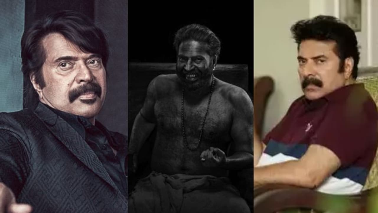 'ഇമേജിനെ ബാധിക്കുമോന്ന് മറ്റുള്ളവർ ചിന്തിക്കുന്ന കഥാപാത്രങ്ങൾ, മമ്മൂക്ക പുറംകാലിന് അടിച്ചോണ്ടിരിക്കയാണ്' 'ഇമേജിനെ ബാധിക്കുമോന്ന് മറ്റുള്ളവർ ചിന്തിക്കുന്ന കഥാപാത്രങ്ങൾ, മമ്മൂക്ക പുറംകാലിന് അടിച്ചോണ്ടിരിക്കയാണ്'