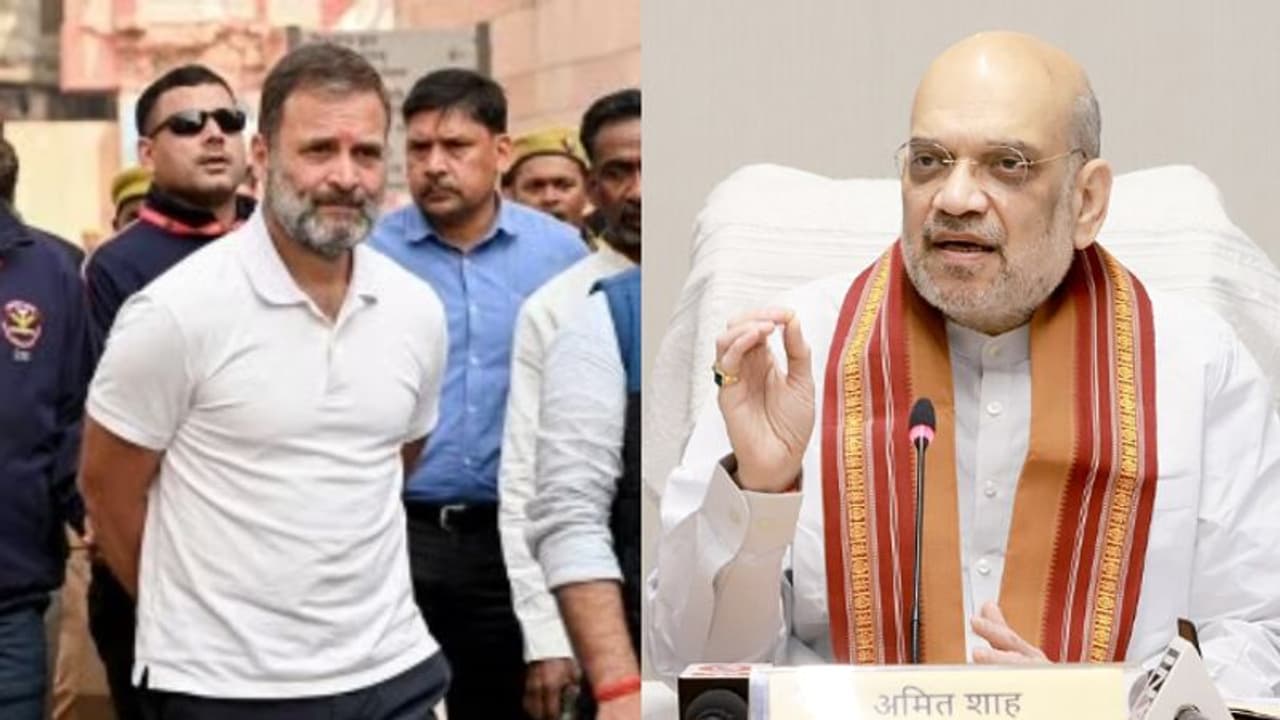 അമിത്ഷായെ കൊലക്കേസ് പ്രതിയെന്ന് വിളിച്ചെന്ന് പരാതി; ഭാരത് ജോഡോ ന്യായ് യാത്ര നിർത്തി രാഹുൽ നാളെ കോടതിയിലേക്ക് അമിത്ഷായെ കൊലക്കേസ് പ്രതിയെന്ന് വിളിച്ചെന്ന് പരാതി; ഭാരത് ജോഡോ ന്യായ് യാത്ര നിർത്തി രാഹുൽ നാളെ കോടതിയിലേക്ക്