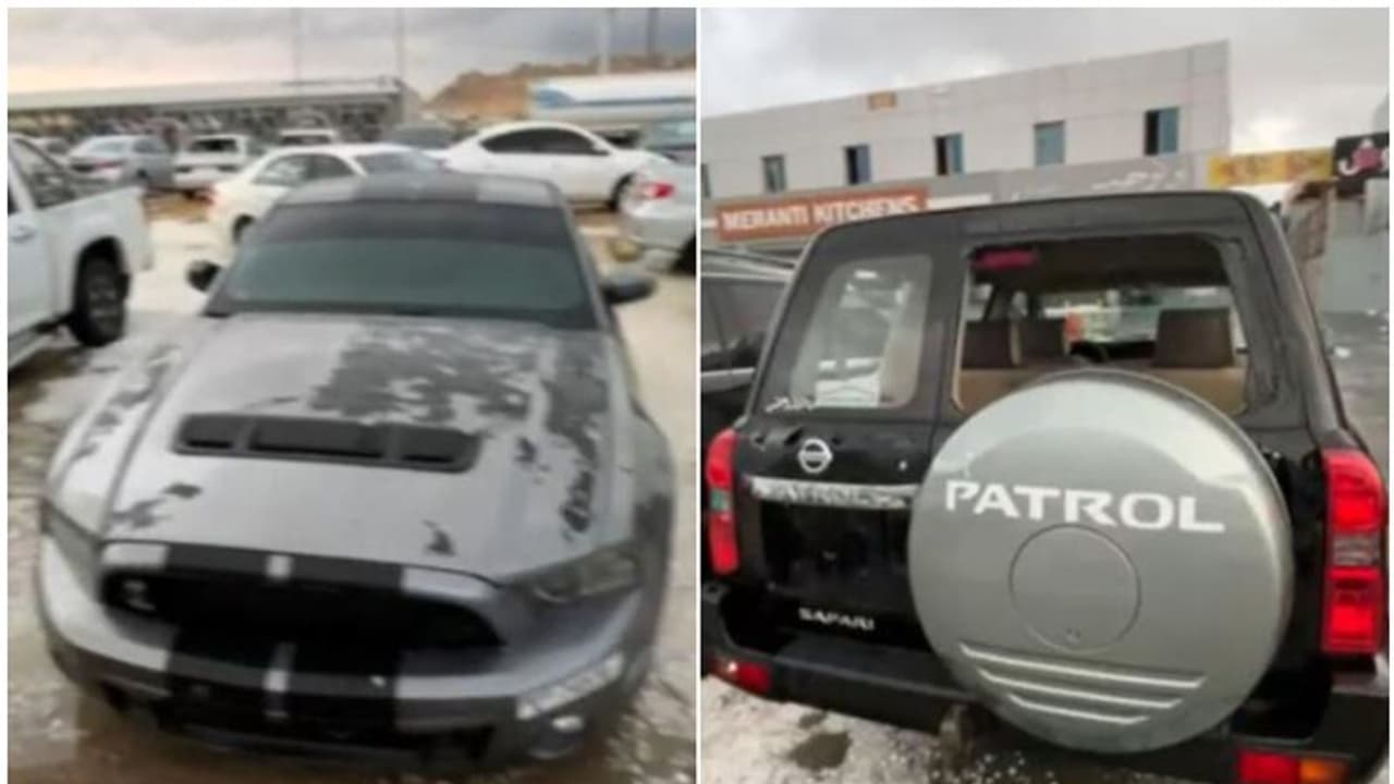 നികത്താനാകാത്ത നഷ്ടമാണിത്; നശിച്ചത് 11 കോടിയുടെ മുതൽ! തലയിൽ കൈവെച്ച് മുതലാളി, ചതിച്ചത് കനത്ത മഞ്ഞുവീഴ്ച നികത്താനാകാത്ത നഷ്ടമാണിത്; നശിച്ചത് 11 കോടിയുടെ മുതൽ! തലയിൽ കൈവെച്ച് മുതലാളി, ചതിച്ചത് കനത്ത മഞ്ഞുവീഴ്ച