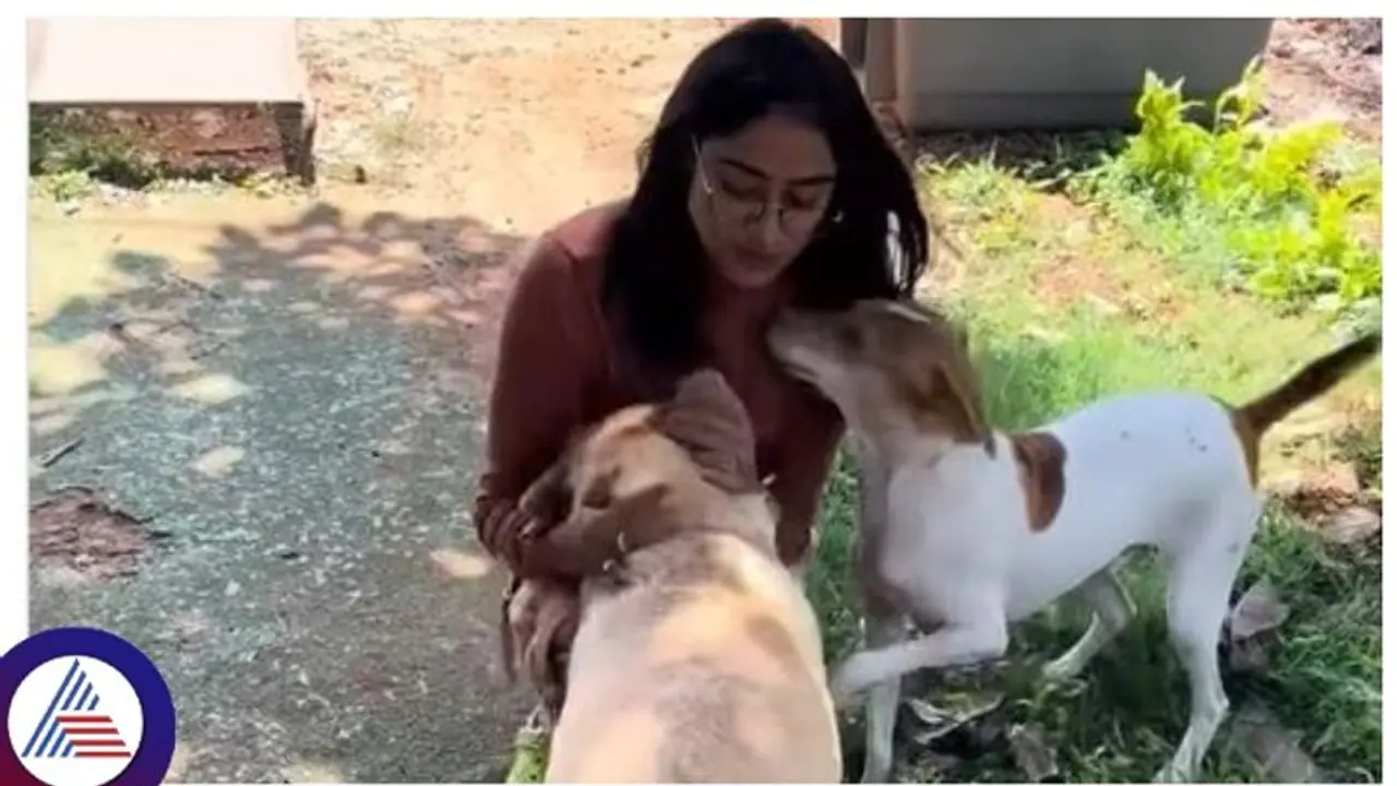 ಬಿಗ್ ಬಾಸ್ ಬಳಿಕ ಸಂಗೀತಾ ಚಾರ್ಲಿ ಭೇಟಿ; ನೆಟ್ಟಿಗರು ಎಂತೆಂತಹ ಕಾಮೆಂಟ್ ಹಾಕ್ತಿದಾರೆ ನೋಡ್ರಿ! ಬಿಗ್ ಬಾಸ್ ಬಳಿಕ ಸಂಗೀತಾ ಚಾರ್ಲಿ ಭೇಟಿ; ನೆಟ್ಟಿಗರು ಎಂತೆಂತಹ ಕಾಮೆಂಟ್ ಹಾಕ್ತಿದಾರೆ ನೋಡ್ರಿ!