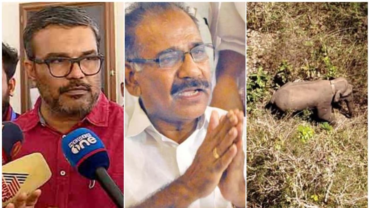 വന്യജീവി പ്രശ്നം ചർച്ച ചെയ്യാൻ മന്ത്രിസംഘം ഇന്ന് വയനാട്ടിൽ; യുഡിഎഫ് രാപ്പകൽ സമരത്തിനിടെ രാവിലെ സർവകക്ഷിയോഗം വന്യജീവി പ്രശ്നം ചർച്ച ചെയ്യാൻ മന്ത്രിസംഘം ഇന്ന് വയനാട്ടിൽ; യുഡിഎഫ് രാപ്പകൽ സമരത്തിനിടെ രാവിലെ സർവകക്ഷിയോഗം