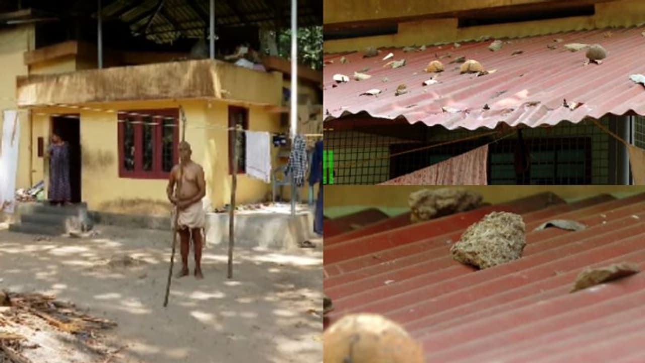 'ചാത്തനേറ് എത്രയോ ഭേദം', വീടിന് അകത്തും പുറത്തും ഇരിക്കാൻ വിടാതെ കുരങ്ങ്, പൊറുതിമുട്ടി കുടുംബം 'ചാത്തനേറ് എത്രയോ ഭേദം', വീടിന് അകത്തും പുറത്തും ഇരിക്കാൻ വിടാതെ കുരങ്ങ്, പൊറുതിമുട്ടി കുടുംബം