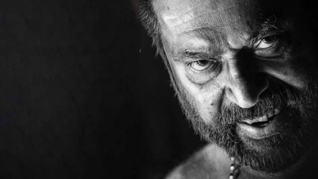 യൂറോപ്പില്‍ ഒരു മമ്മൂട്ടി ചിത്രം എത്ര നേടും? എല്ലാ ധാരണകളെയും തിരുത്തി 'ഭ്രമയുഗം'; ഒഫിഷ്യല്‍ കളക്ഷന്‍