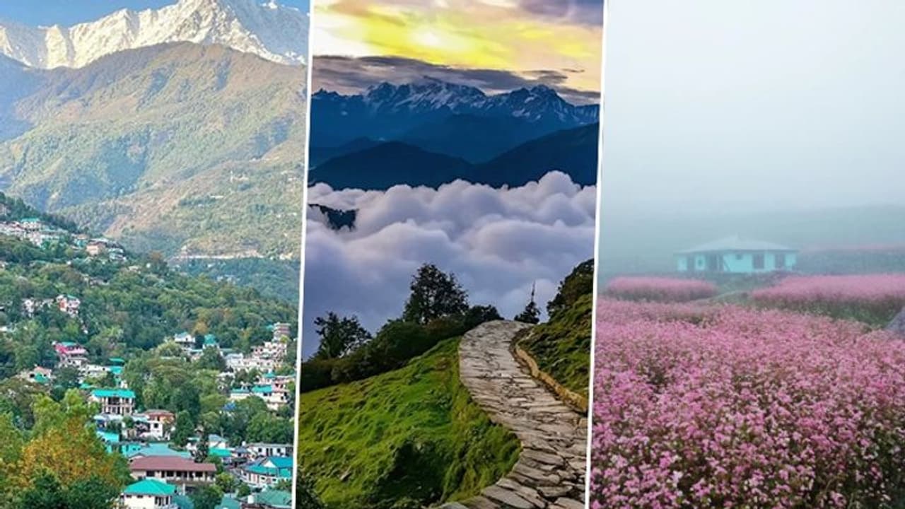 Valley of Flowers to Roopkund: 7 treks to embark on this Spring