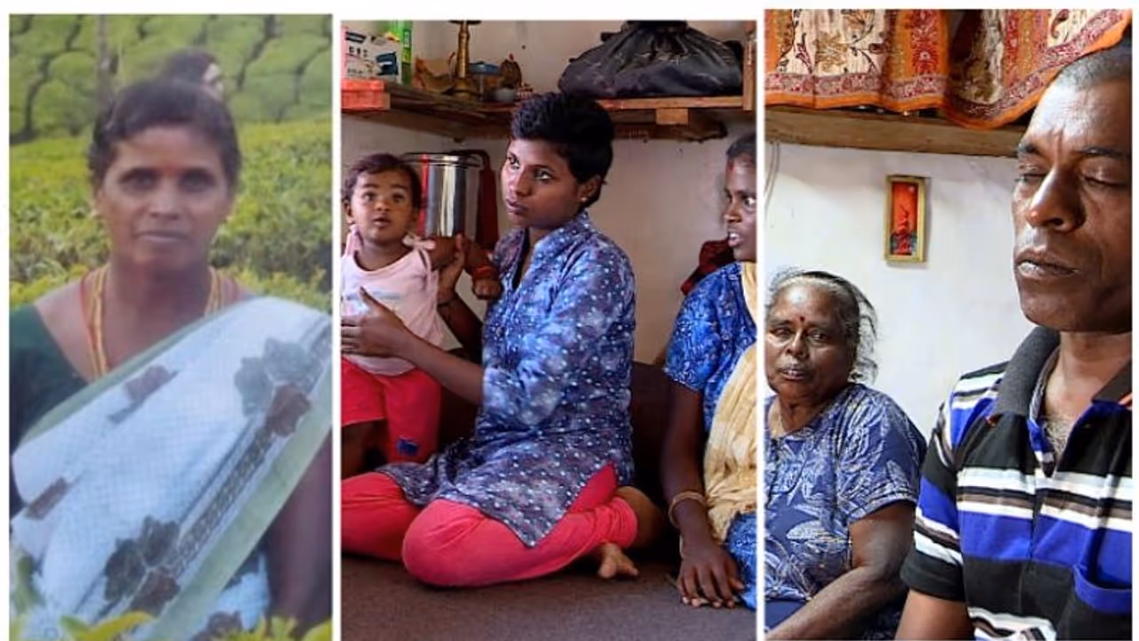 Kerala: Even after 40 days, Idukki elephant attack victim's family gets only Rs 50,000; check details