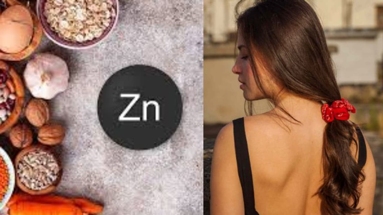 തലമുടി വളരാന് കഴിക്കാം സിങ്ക് അടങ്ങിയ ഈ ആറ് ഭക്ഷണങ്ങള്... തലമുടി വളരാന് കഴിക്കാം സിങ്ക് അടങ്ങിയ ഈ ആറ് ഭക്ഷണങ്ങള്...