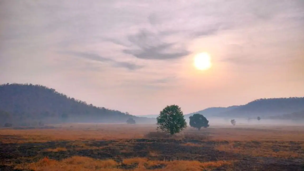 Kheoni Wildlife Sanctuary: Madhya Pradesh's 'wild' secret is out (WATCH) Kheoni Wildlife Sanctuary: Madhya Pradesh's 'wild' secret is out (WATCH)