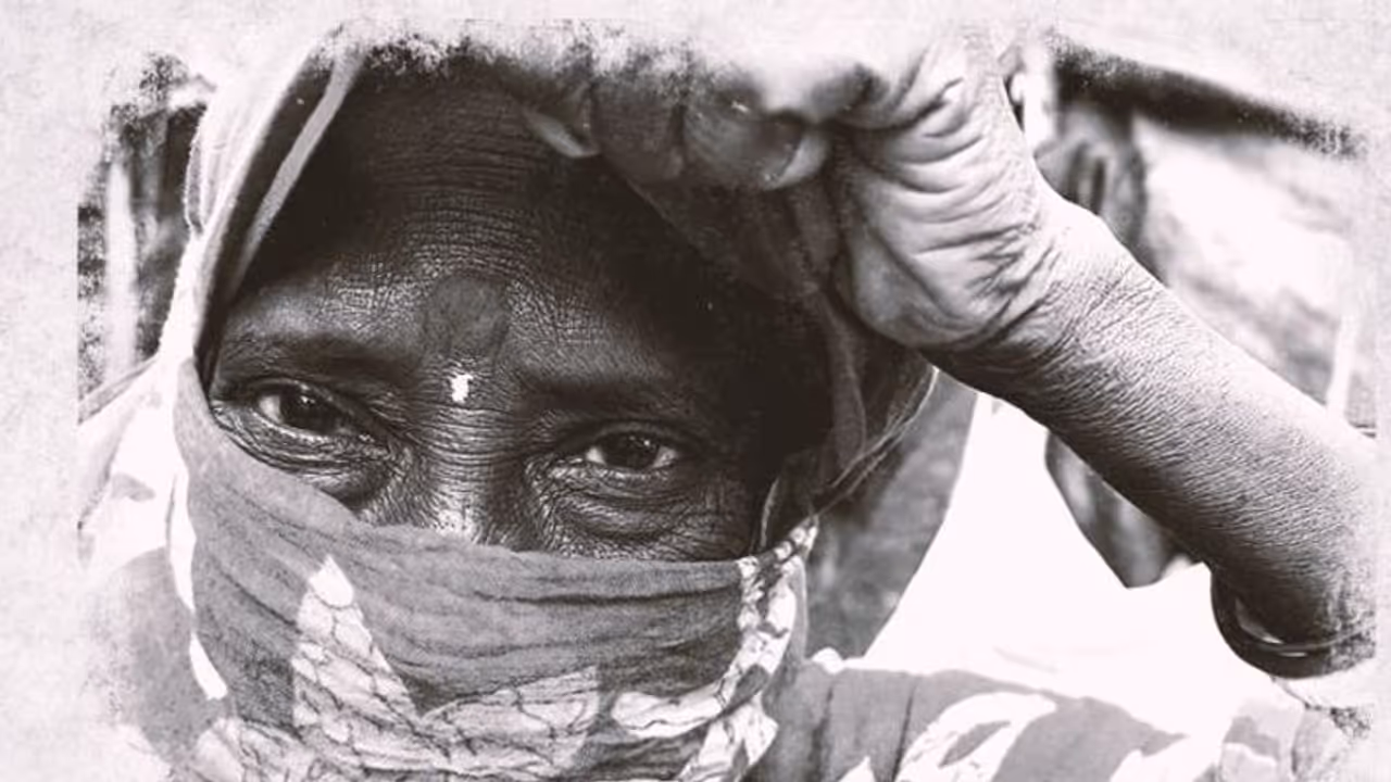 BJP to launch fresh salvo at Mamata, release documentary 'The Sandeshkhali Shocker' BJP to launch fresh salvo at Mamata, release documentary 'The Sandeshkhali Shocker'