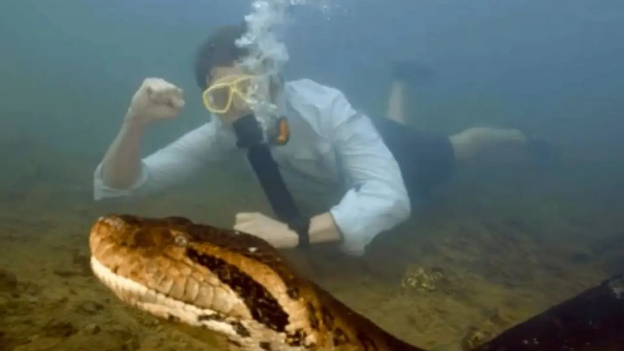 உலகின் மிகப்பெரிய பாம்பு.. 26 அடி நீளம்.. 200 கிலோ எடை.. அமேசானில் கண்டுபிடிப்பு வைரல் வீடியோ !! உலகின் மிகப்பெரிய பாம்பு.. 26 அடி நீளம்.. 200 கிலோ எடை.. அமேசானில் கண்டுபிடிப்பு வைரல் வீடியோ !!