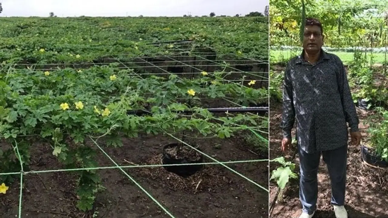 An Ingenious Farming Method Developed by a Gujarati Farmer that Saves Costs while Increasing Production