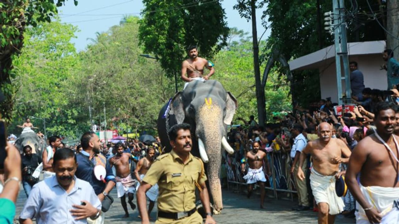  ശംഖ് മുഴങ്ങിയതിന് പിന്നാലെ ആനകൾ ഓട്ടം തുടങ്ങി, ഗുരുവായൂര്‍ ഗോപുരവാതിൽ കടന്ന് ഗോപീകണ്ണൻ കുതിച്ചെത്തി, ജേതാവ്