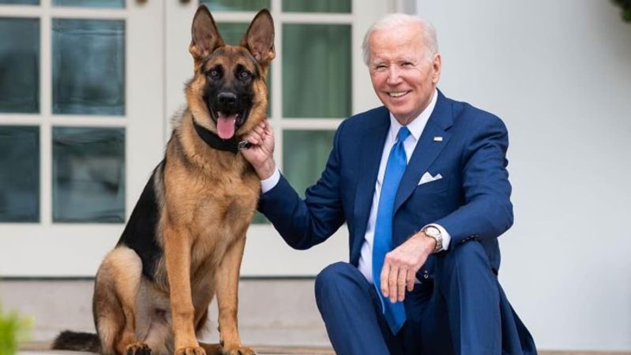 US First Dog 'Commander' exits White House, now with Joe Biden's relatives
