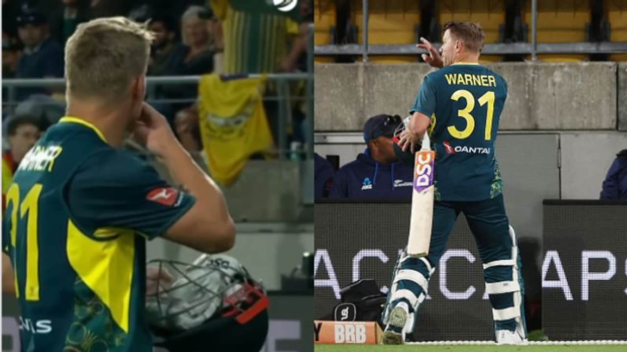 കൂവിവിളിച്ച് 20000 ന്യൂസിലൻഡ് ആരാധകർ; ഫ്ലൈയിംഗ് കിസ് നൽകി ഡേവിഡ് വാർണർ വീഡിയോ