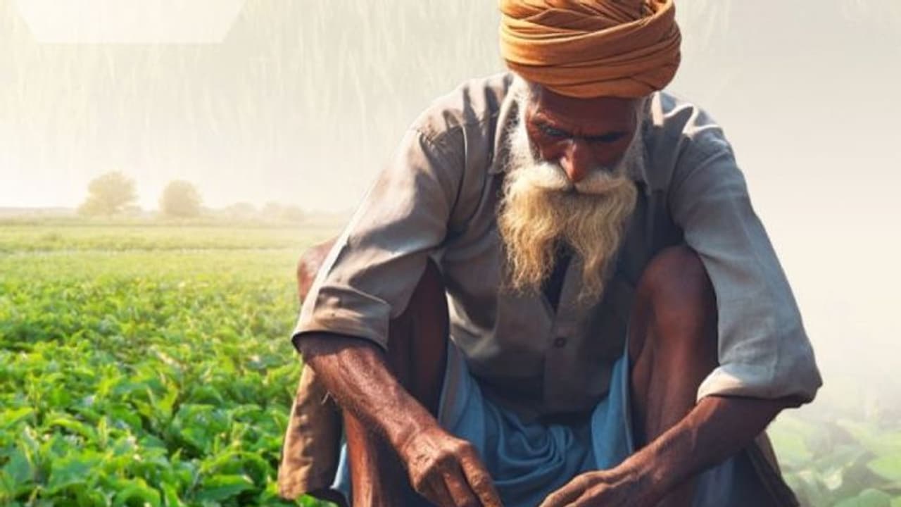 Inside details of talks emerge; farmer 'leaders' stand a threat to Punjab's agricultural resilience: Sources