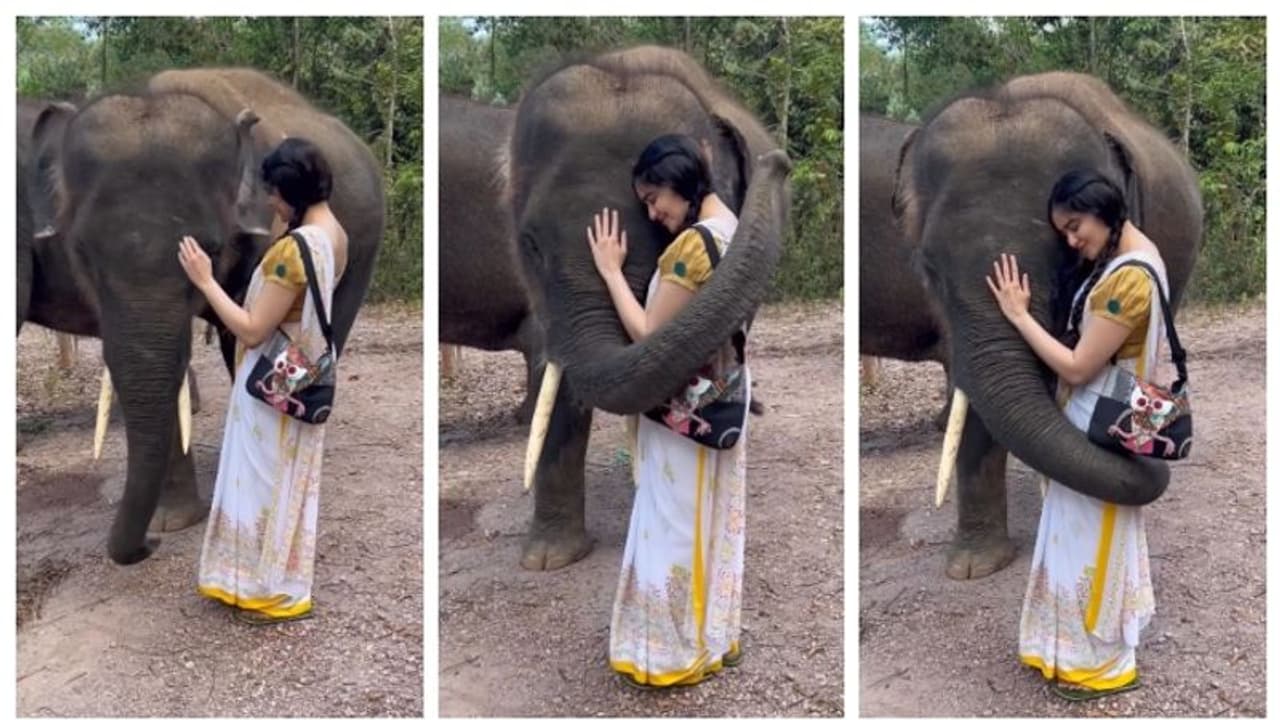 'ജസ്റ്റ് ലൈക്ക് എ വാവ്'; തുമ്പിക്കൈ കൊണ്ട് നടി ആദ ശര്മ്മയെ ചുറ്റിപ്പിടിക്കുന്ന ആനക്കുട്ടിയുടെ വീഡിയോ വൈറല് 'ജസ്റ്റ് ലൈക്ക് എ വാവ്'; തുമ്പിക്കൈ കൊണ്ട് നടി ആദ ശര്മ്മയെ ചുറ്റിപ്പിടിക്കുന്ന ആനക്കുട്ടിയുടെ വീഡിയോ വൈറല്