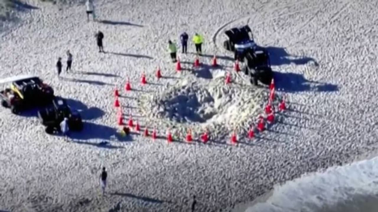 ബീച്ചിൽ കുഴികുത്തി, അതേ കുഴിയിൽ വീണ് ഏഴുവയസ്സുകാരി ശ്വാസംമുട്ടി മരിച്ചു ബീച്ചിൽ കുഴികുത്തി, അതേ കുഴിയിൽ വീണ് ഏഴുവയസ്സുകാരി ശ്വാസംമുട്ടി മരിച്ചു